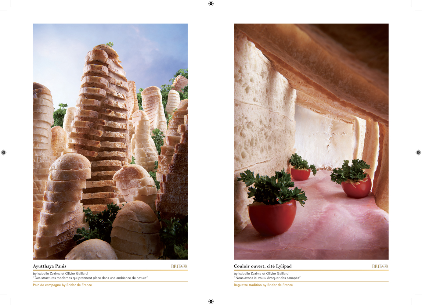 Livret en édition limitée réalisé par l'Agence Lucette pour accompagner l'exposition Bridor, en parallèle du festival de photographie culinaire 2012.