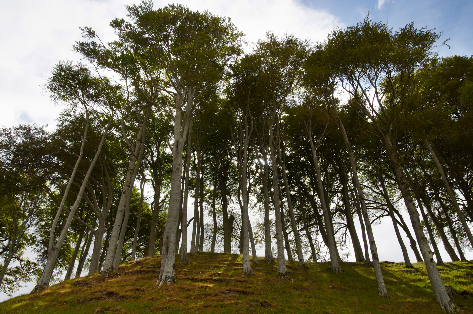 2011-ecosse-6-005-1