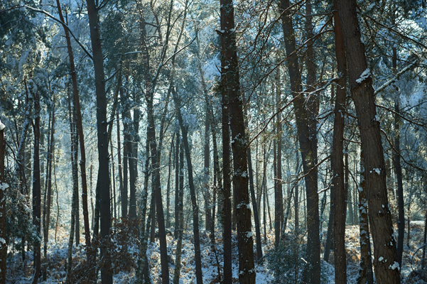 Isabelle-Zezima_Fontainebleau_2018-02-08_fontainebleau-(46)