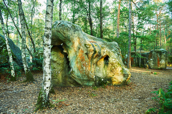 Isabelle-Zezima_Fontainebleau_monstre
