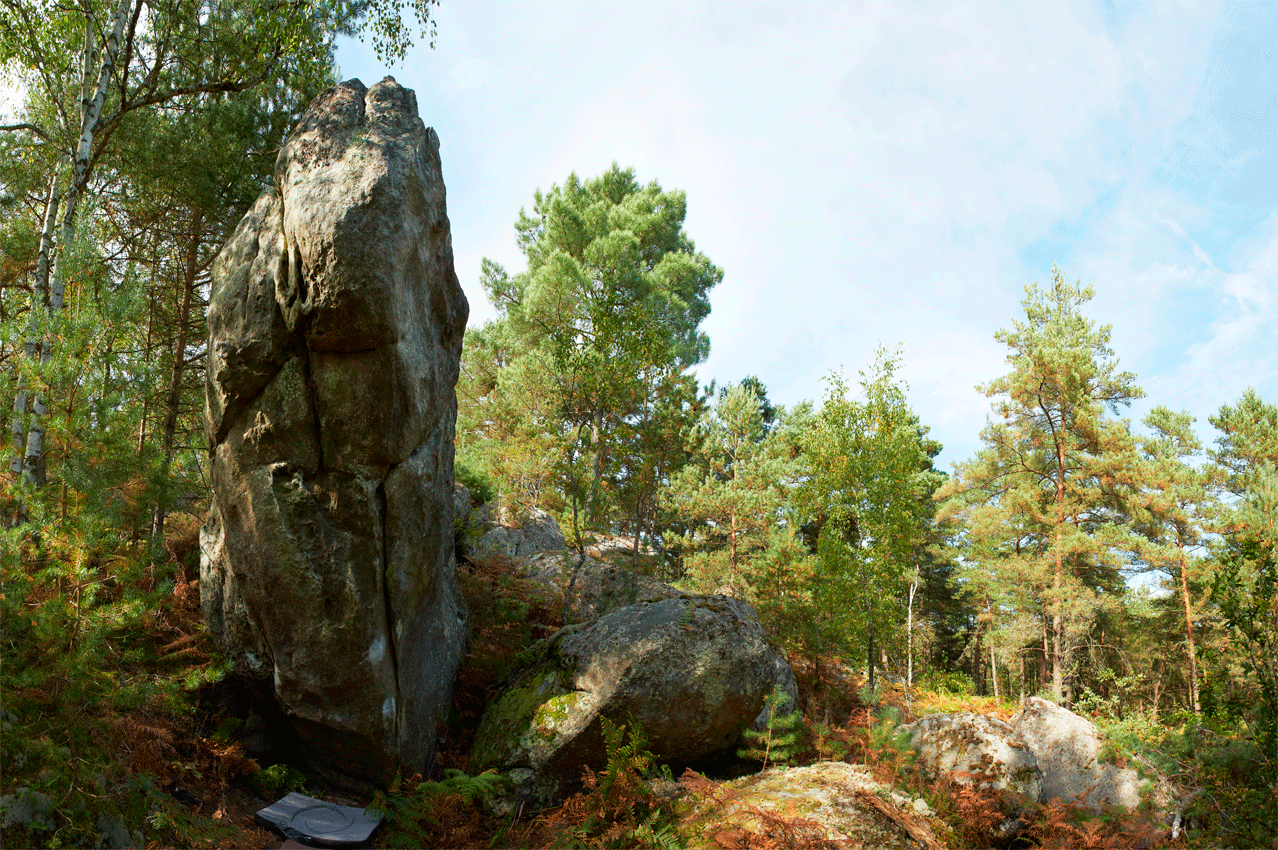 Escalade de bloc à Fontainebleau