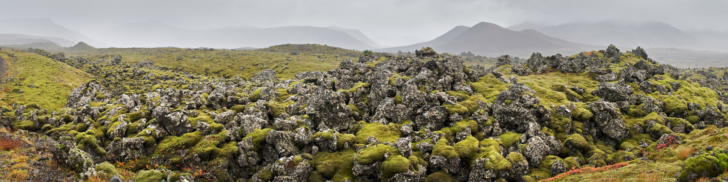 islande_berserkjarhaun_01jpg
