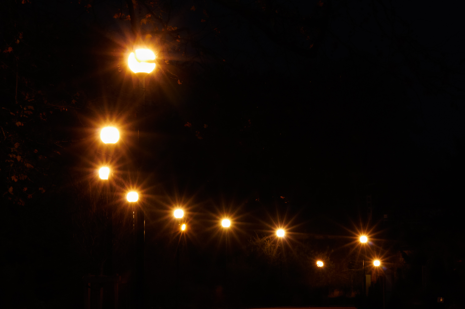 Night Lights – lumières nocturnes